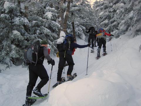 Winter Training